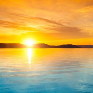 Meet your Posher, Gladys